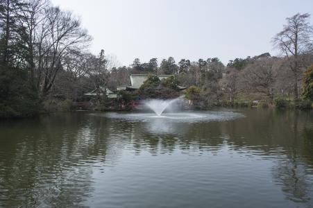 Inokashira公园免费库存照片