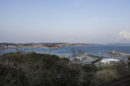 海从Enoshima免费图片