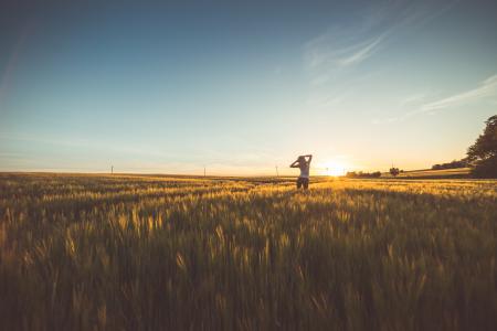 Happy Girl Dancing in a Wheat Field on Sunset #2