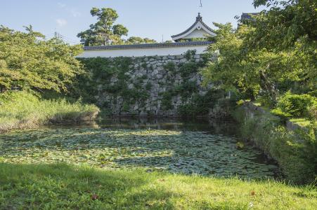 福冈城堡免费图片