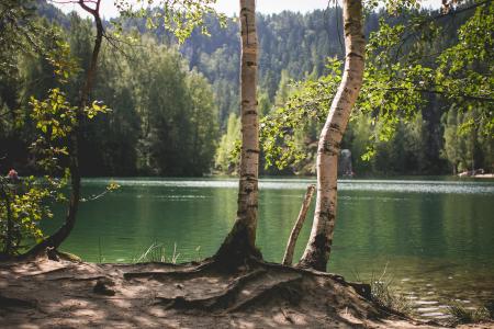 捷克共和国的湖边自然