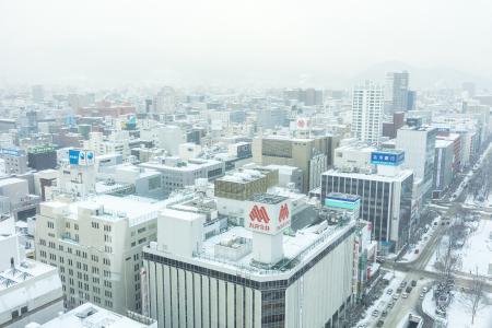 札幌Odori风景在冬天免费图片