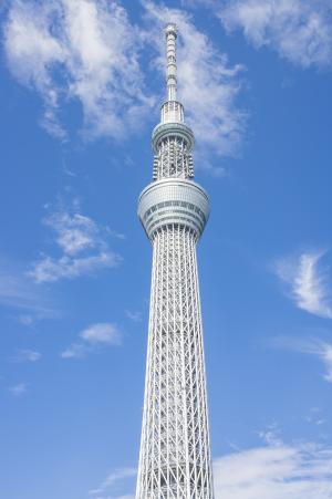 东京天空树免费图片