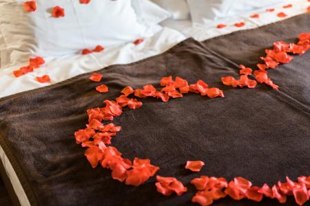 浪漫而可爱的玫瑰花瓣床