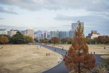 昭和纪念公园免费图片