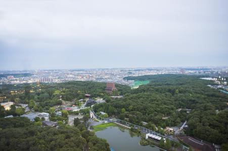 东山天空塔名古屋的风景免费照片