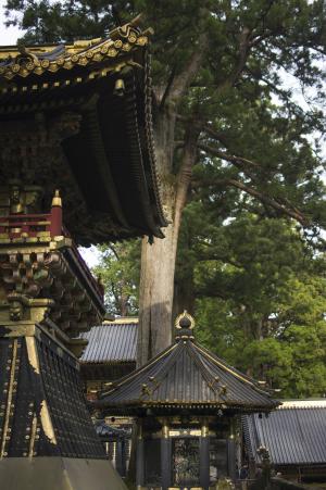 Nikko Toshogu免费图片