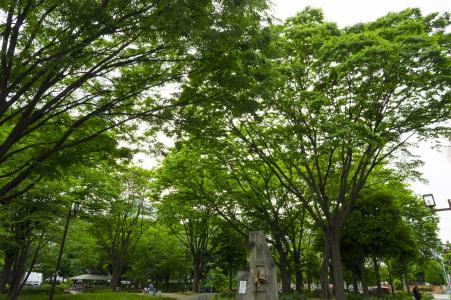 名古屋的花园公园免费照片