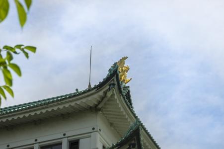 名古屋城堡金色白色照片素材