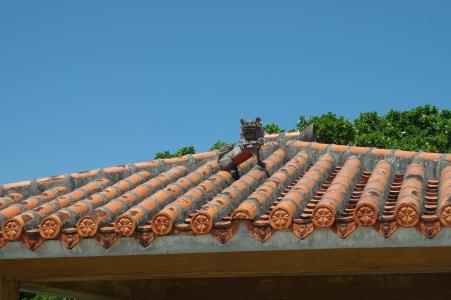 在屋顶上的海沙免费照片