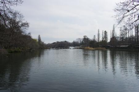 Inokashira公园免费图片
