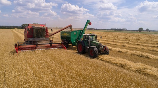 机械化收割小麦图景