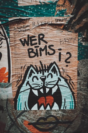 街头艺术海报上的猫