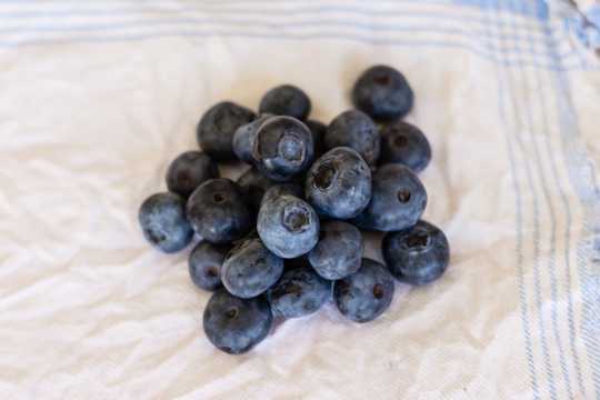 黑色蓝莓果子图片