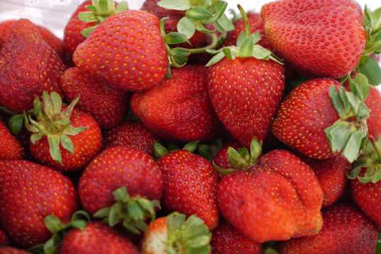 新鲜动人草莓水果图片