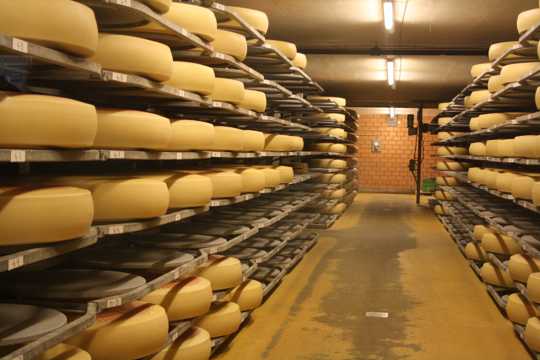 瑞士奶酪工厂图片