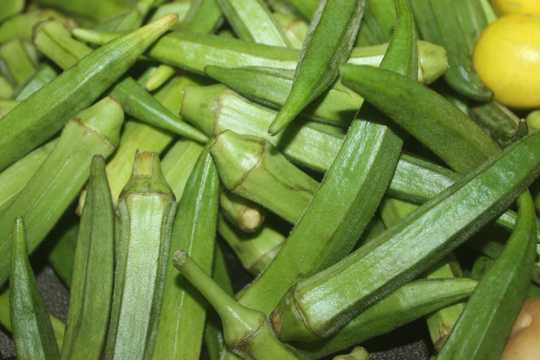 绿色秋葵蔬菜图片