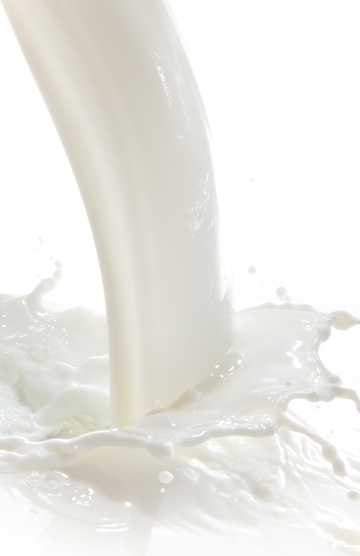 动感牛奶水花图片