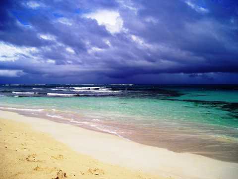 热带沙滩景物图片