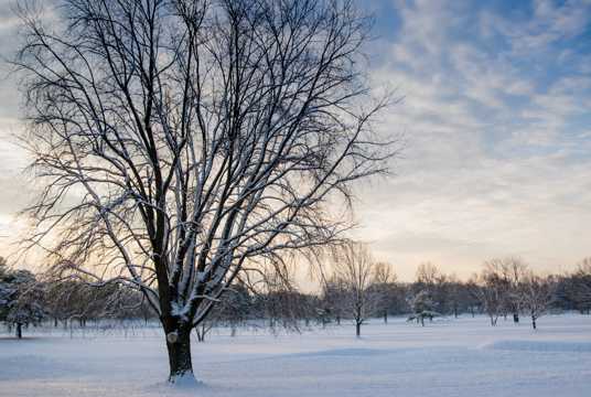 白雪覆盖的冬日图片