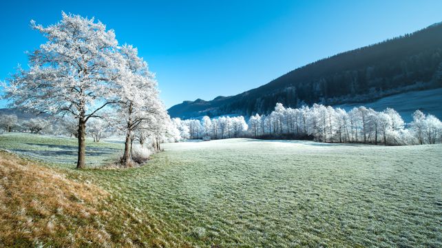 唯美冬季树木景象图片