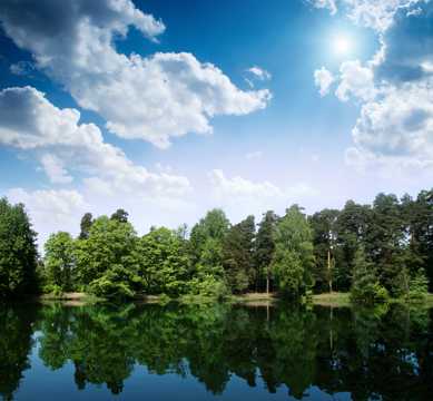 蓝天下的绿树湖水图片