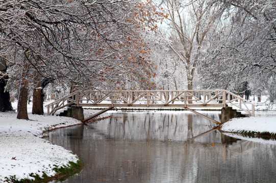 冬日木桥河流景致图片