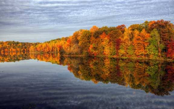 秋季丛林河流图片