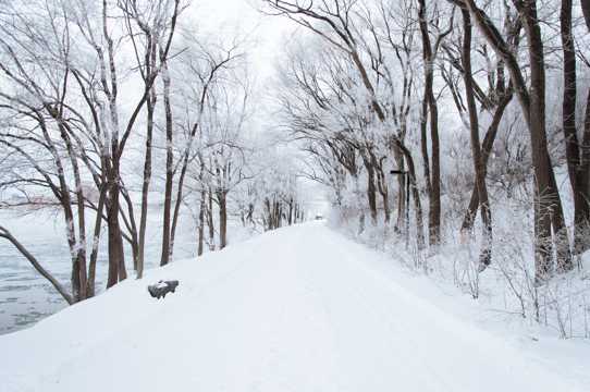 白雪皑皑的美景图片