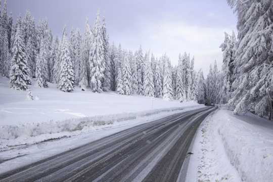 罗马尼亚丛林雪景图片