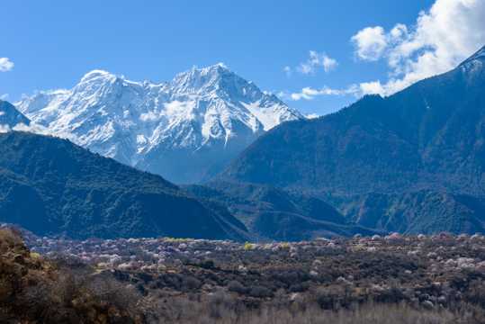 西藏林芝高大雪山景物图片