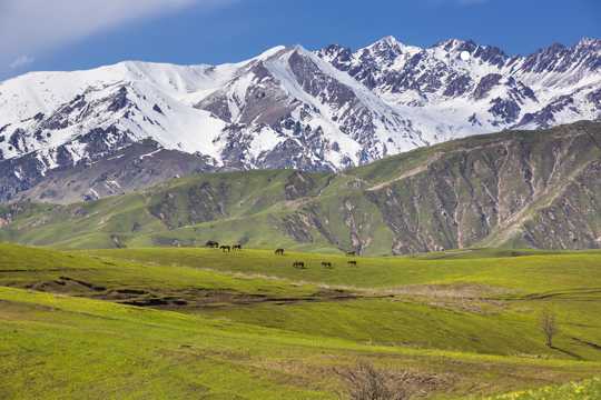 新疆大西沟景致图片
