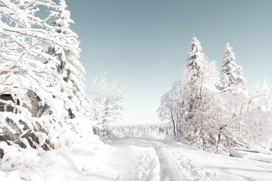银装素裹冬天雪景图片