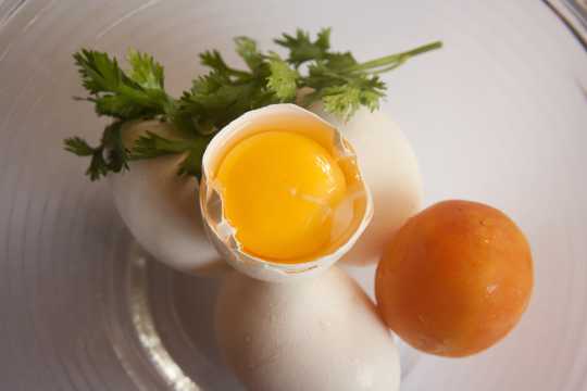 打破鸡蛋露出蛋清蛋黄图片