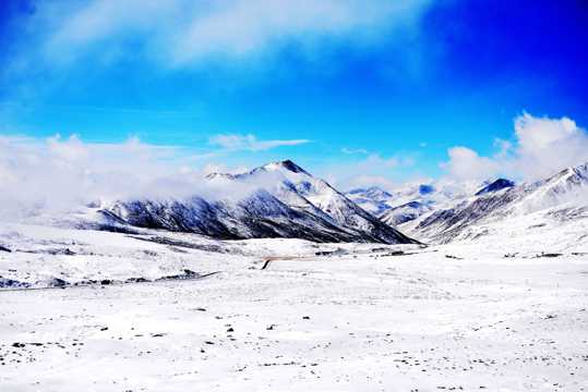 西藏米拉山口景物图片