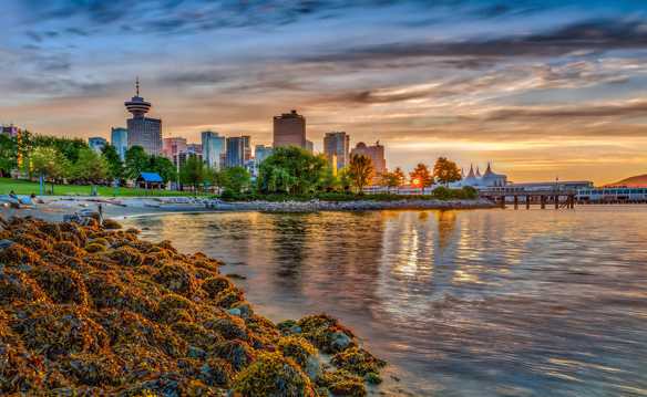 加拿大温哥华码头景物图片