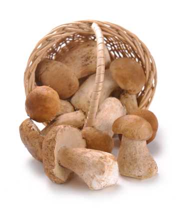 篮子里的蘑菇图片