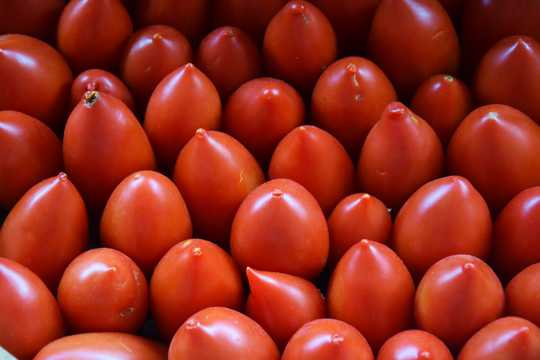 红色小西红柿背景图片