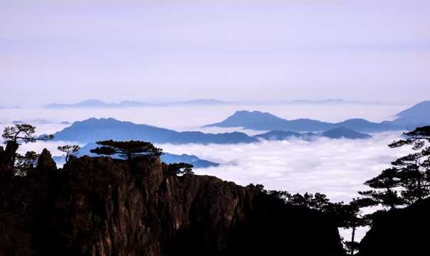 安徽黄山云海景物图片