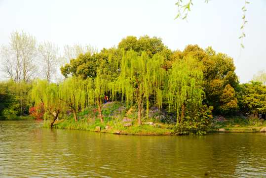江苏扬州自然风光图片