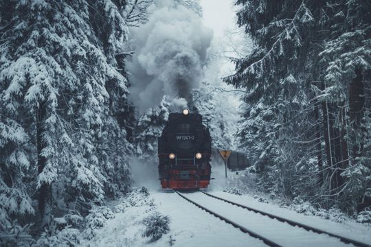 冬天的列车