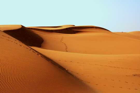 荒凉无垠的大漠图片