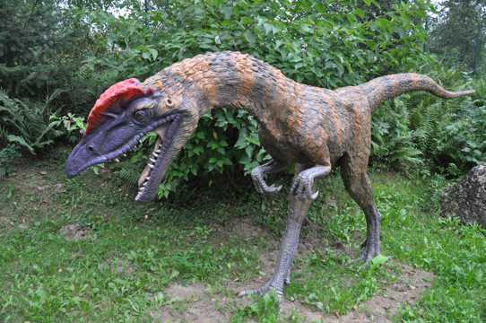 白垩纪的恐龙模型图片