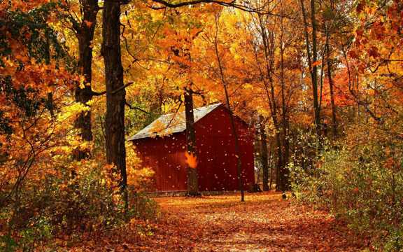 秋季美景景色图片