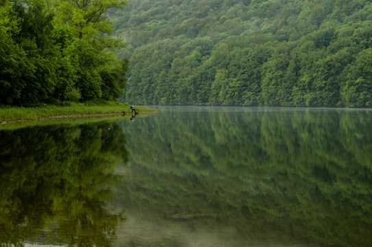 树林里的湖水景色图片