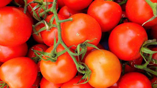 番茄蔬菜图片