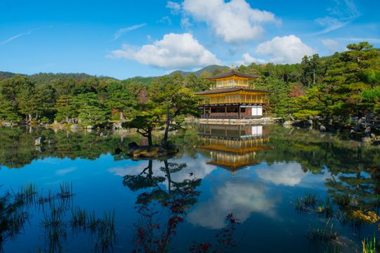 日本京都金阁寺景致图片