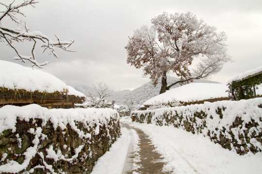 冬日路面积雪景观图片