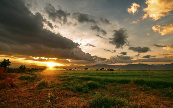 落日下的草地自然风光图片