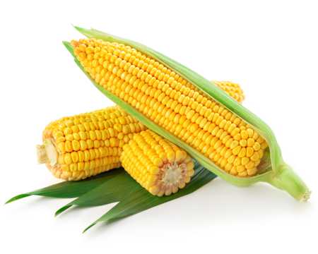 营养的玉米图片